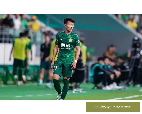 林良铭法比奥张稀哲破门国安胜新鹏城