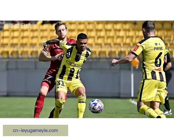 奥克兰五球横扫惠灵顿凤凰军团 奥克兰五球横扫惠灵顿凤凰军团