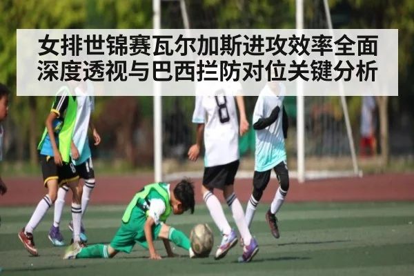 女排世锦赛瓦尔加斯进攻效率全面深度透视与巴西拦防对位关键分析